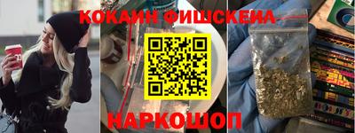 прущие грибы Новозыбков