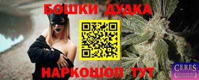 прущие грибы Новозыбков