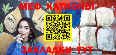 прущие грибы Новозыбков
